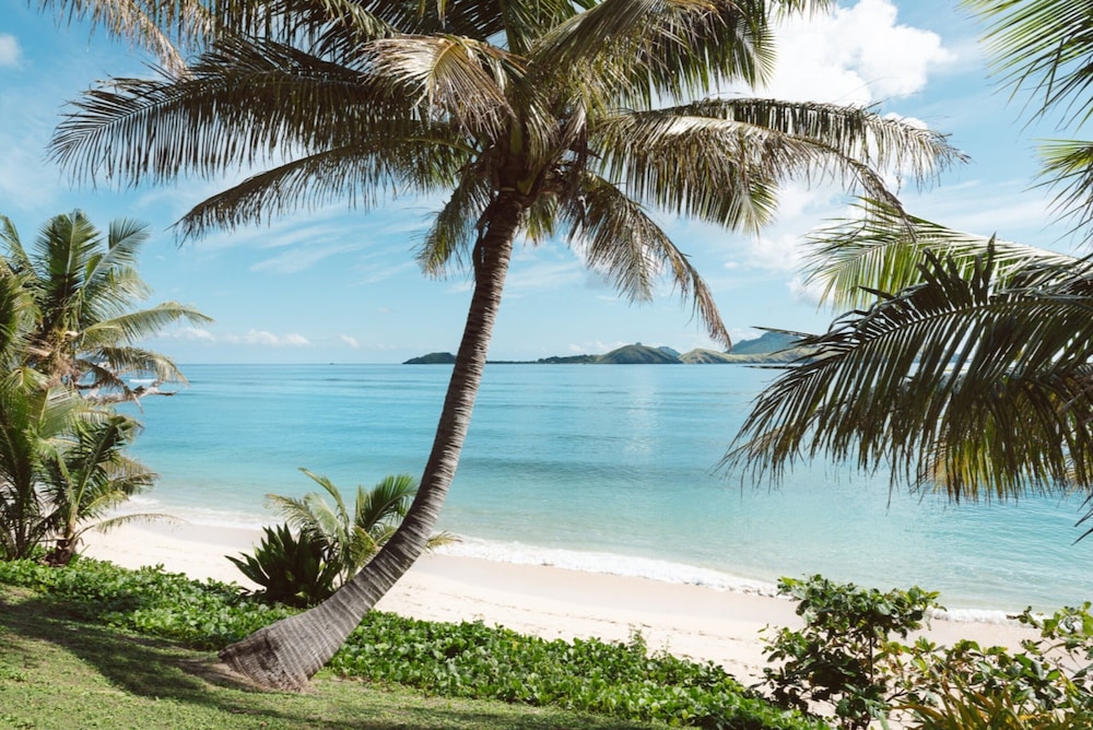 Beachfront Bure photo 3