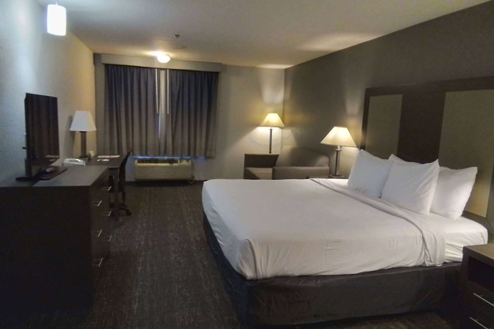 Deluxe Studio Suite, 1 King Bed, Non Smoking - Photo 1
