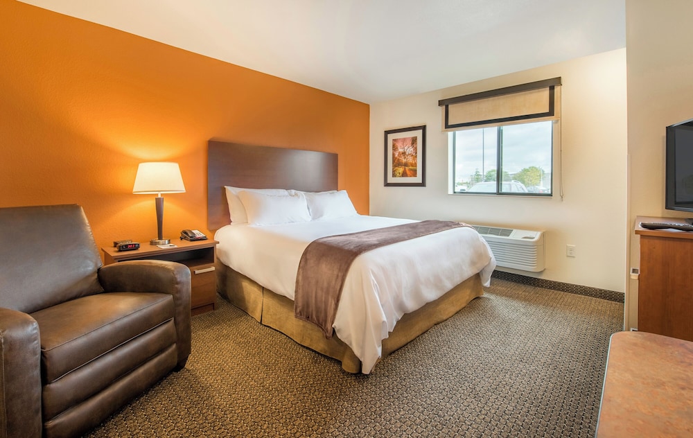 Room, 1 Queen Bed (Hearing Impaired with Recliner) photo 1