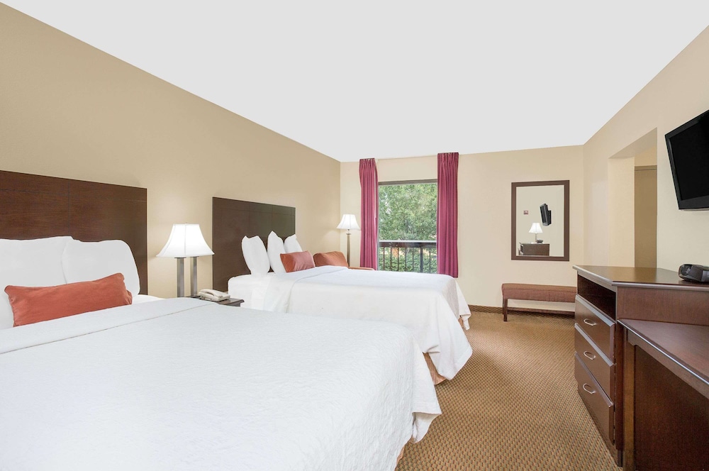 Suite - Photo 1