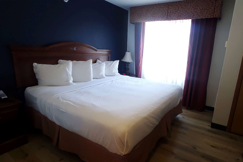 Suite, 1 King Bed, Non Smoking - Photo 1