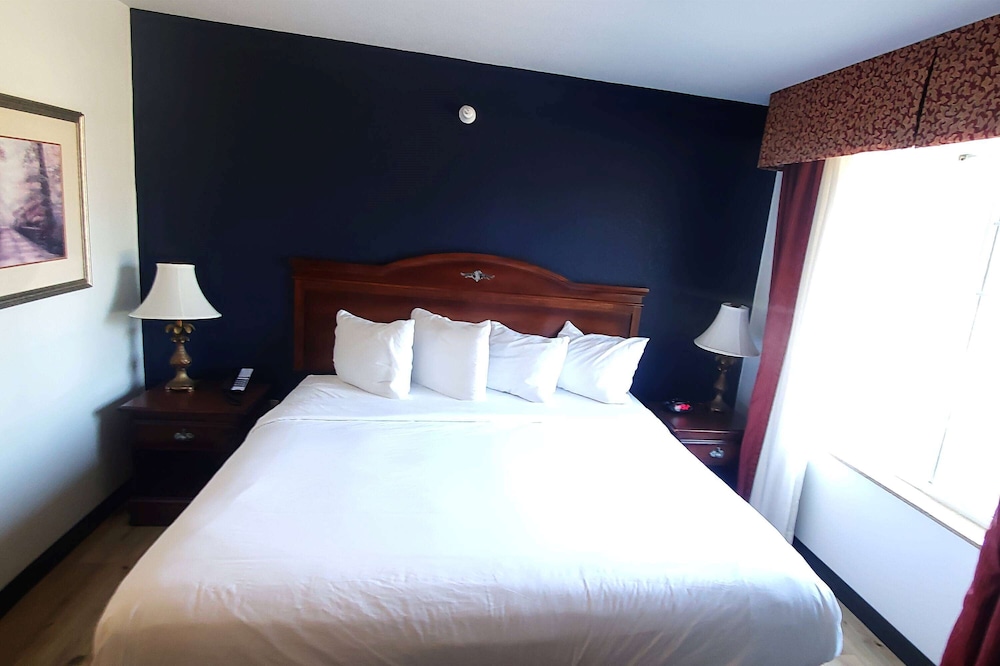 Suite, 1 King Bed, Non Smoking - Photo 4