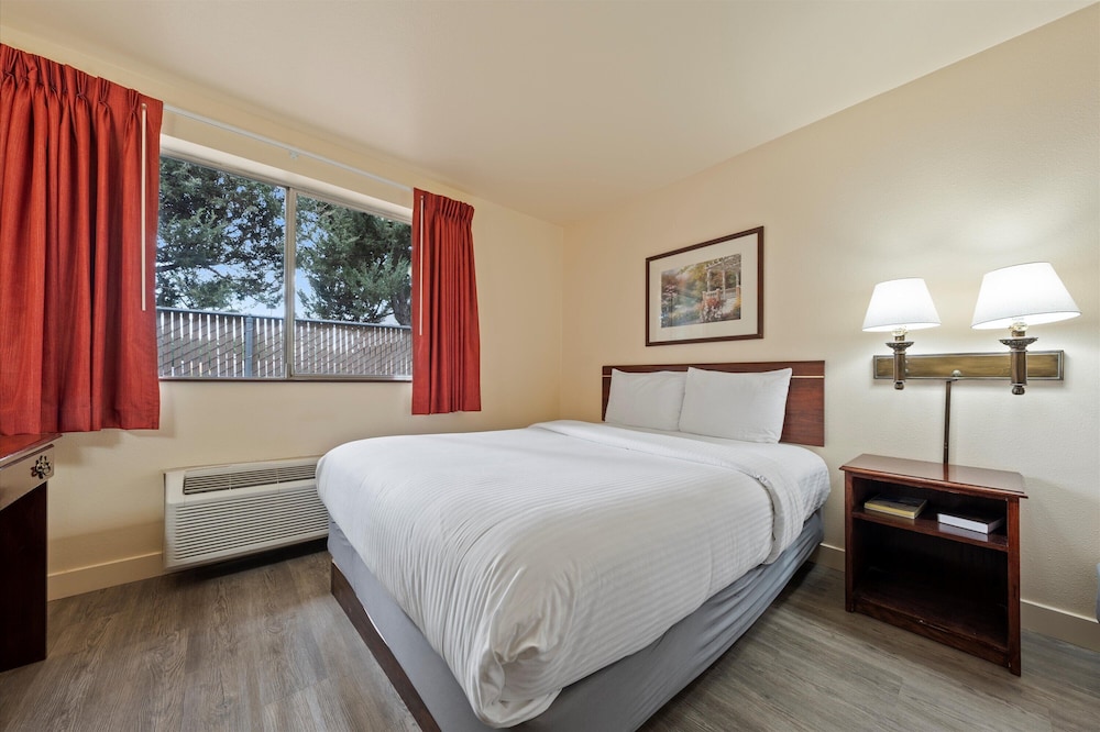 Basic Single Room photo 2