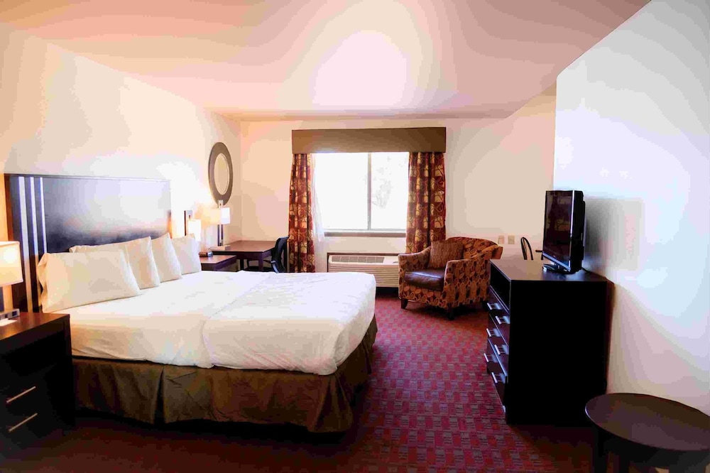 Executive Studio Suite, 1 King Bed photo 2