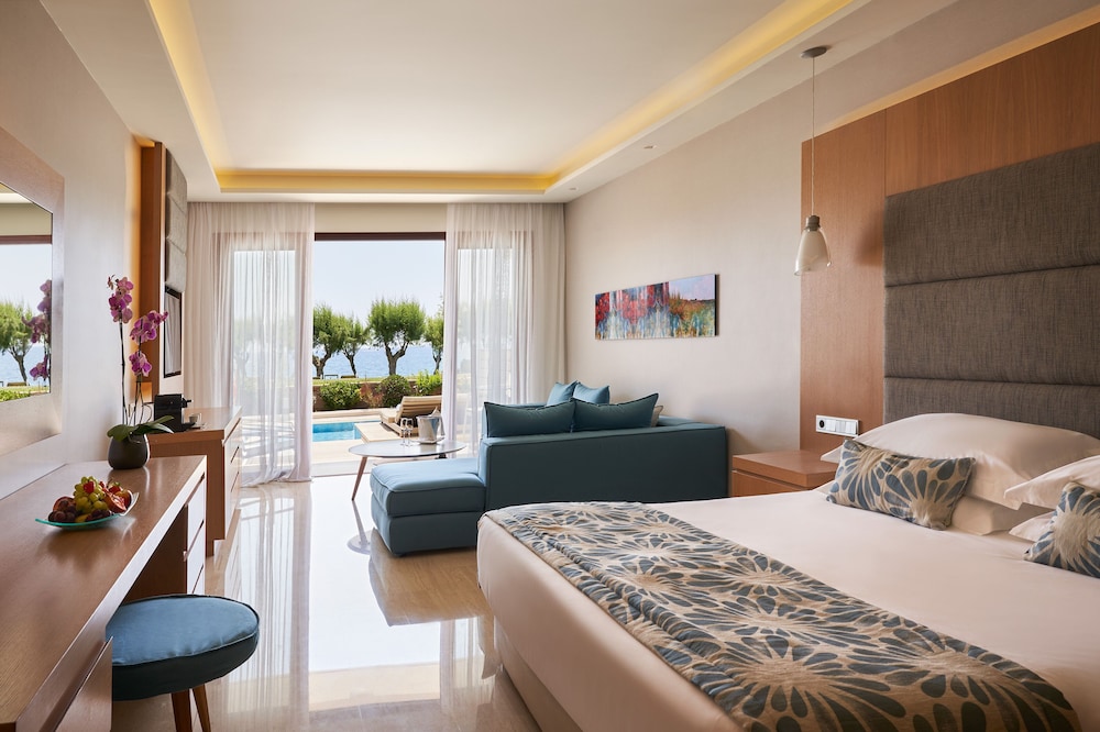 Junior Suite Beach Front Swim up Sea View - Photo 1