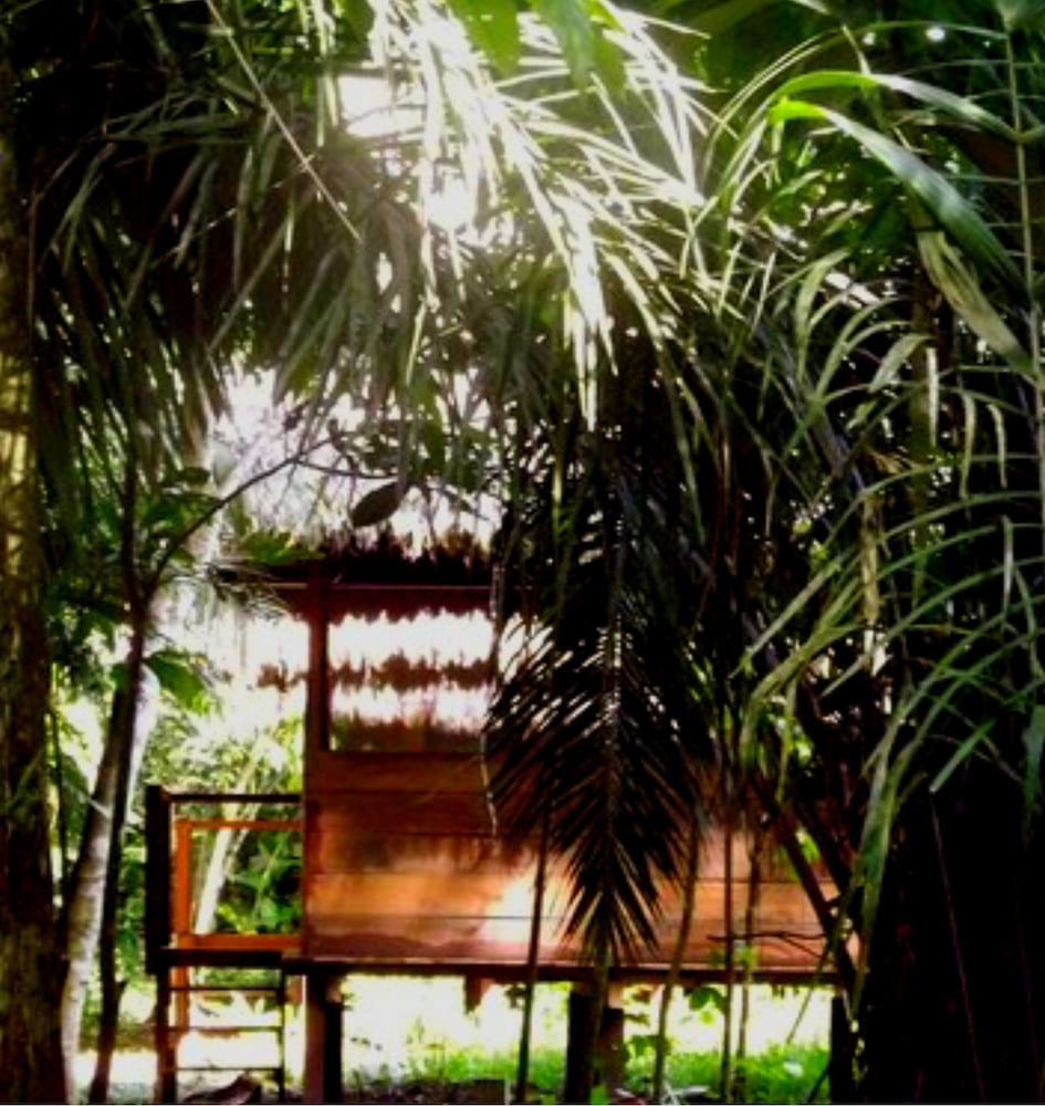 Standard Triple Room, Garden View, Beachside photo 3