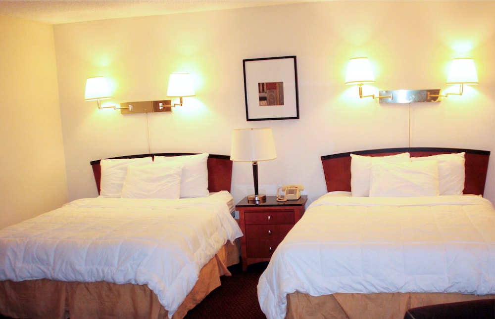 Family Room, Multiple Beds
