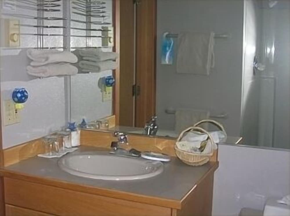 Starseeker photo 3