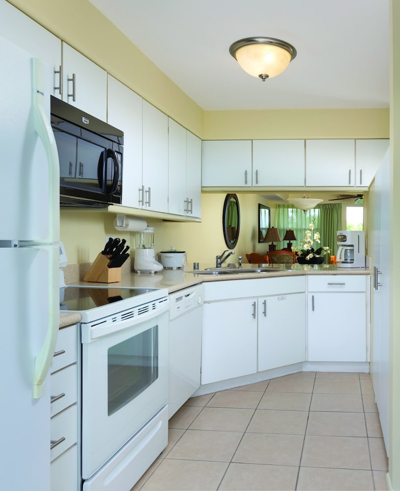 Suite (Kokua) - Photo 7