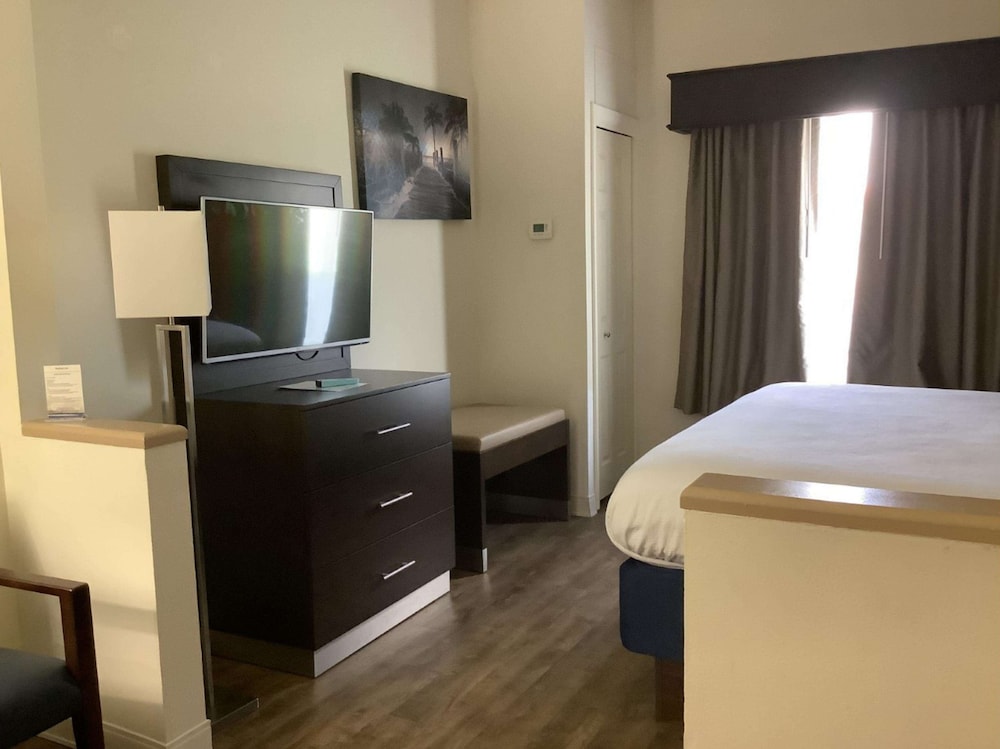 Standard Room, 1 King Bed, Accessible, Non Smoking photo 2
