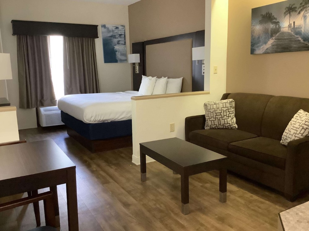 Suite, 1 King Bed, Non Smoking, Refrigerator & Microwave photo 1