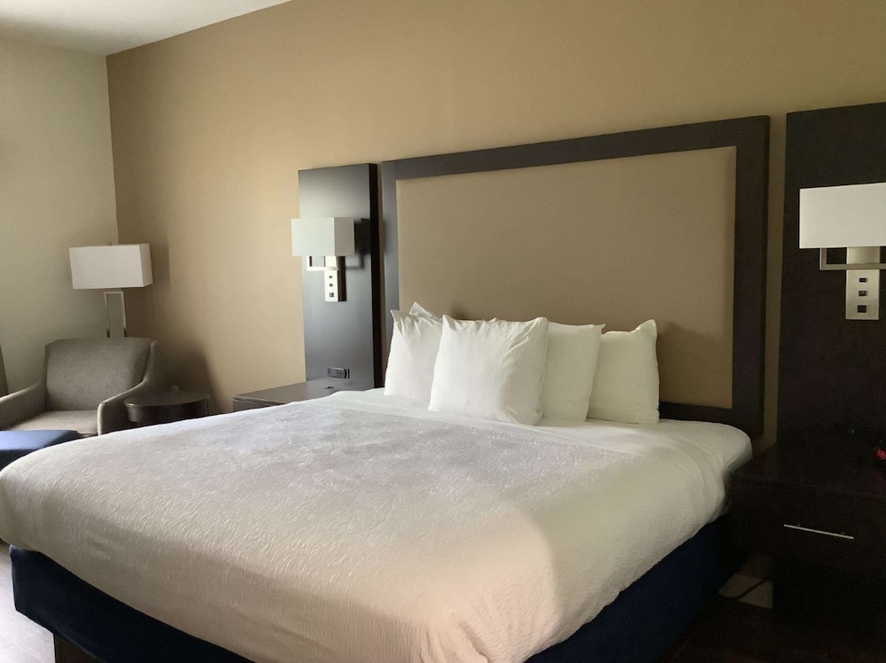 Standard Room, 1 King Bed, Accessible, Non Smoking photo 1