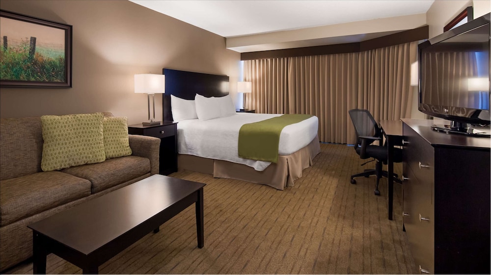 Standard Room, 1 King Bed, Non Smoking (With Sofabed) - Photo 2