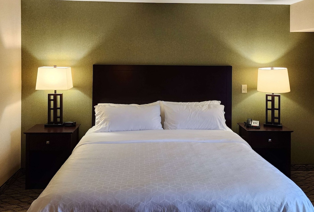 Room, 1 King Bed, Accessible, Non Smoking (Mobility/Hearing, Tub w/ Grab Bars) photo 1