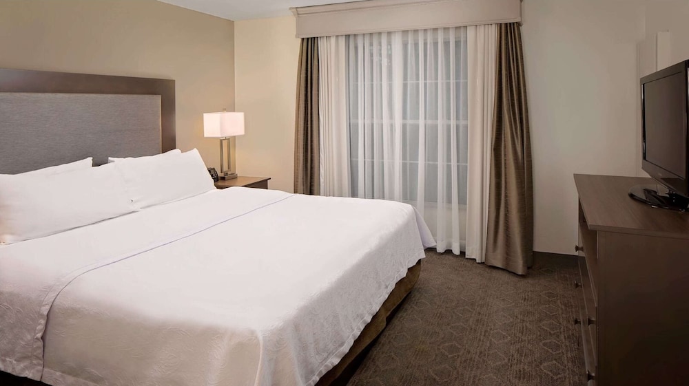 Room, 1 King Bed, Non Smoking (Homewood) - Photo 5