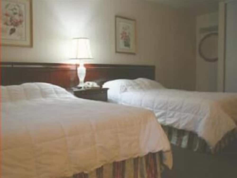 Standard Double Room, 2 Double Beds photo 3