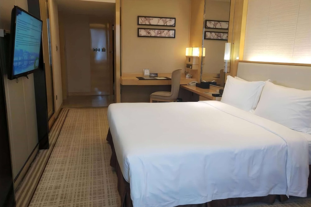 Room, 1 King Bed photo 3