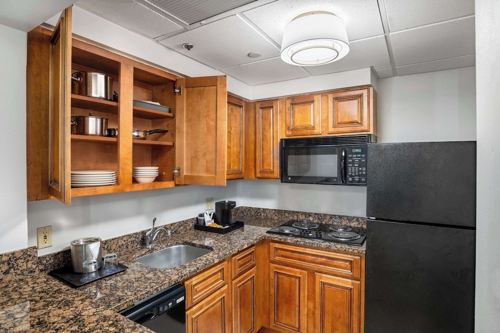 Suite, 1 Bedroom, Kitchen - Photo 18
