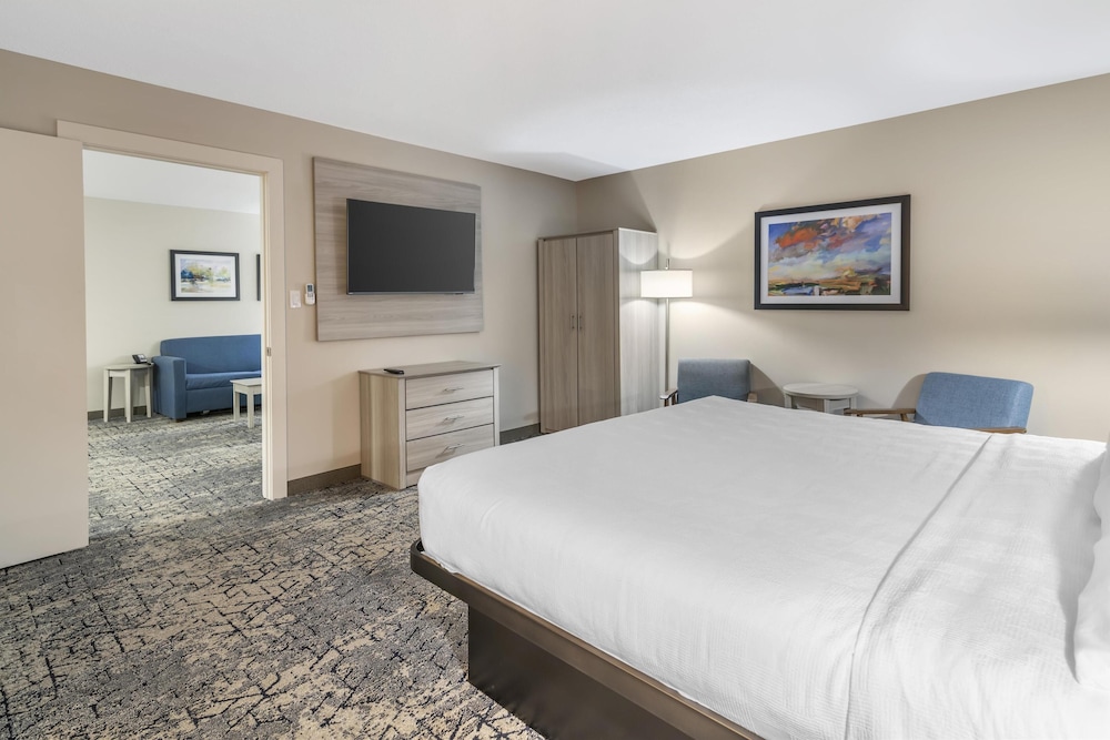 Suite, 1 King Bed, Non Smoking, Kitchenette (with Single Sofabed) photo 2
