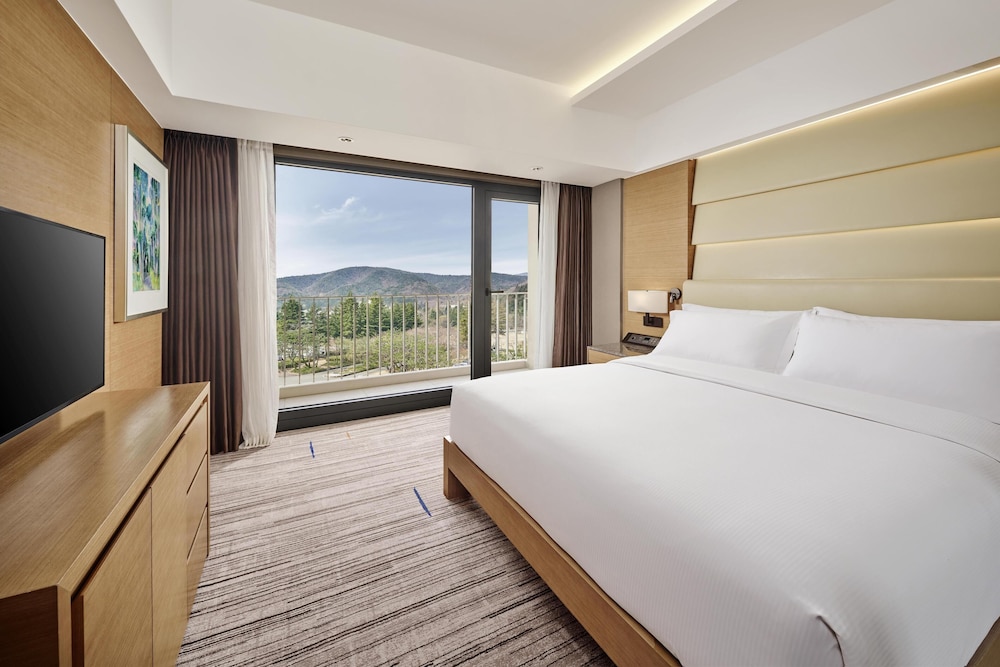 Executive Suite, 1 King Bed