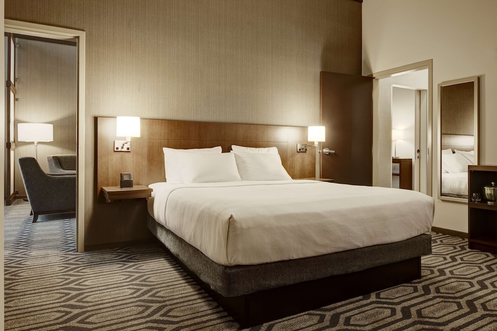 Suite, 1 King Bed with Sofa bed, Accessible (Roll-In Shower)