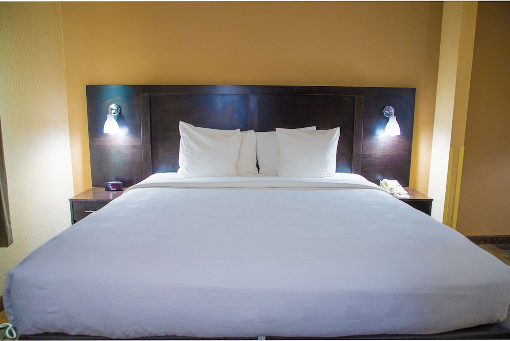Standard Room, 1 King Bed, Accessible, Non Smoking (Walk-In Shower) - Photo 3