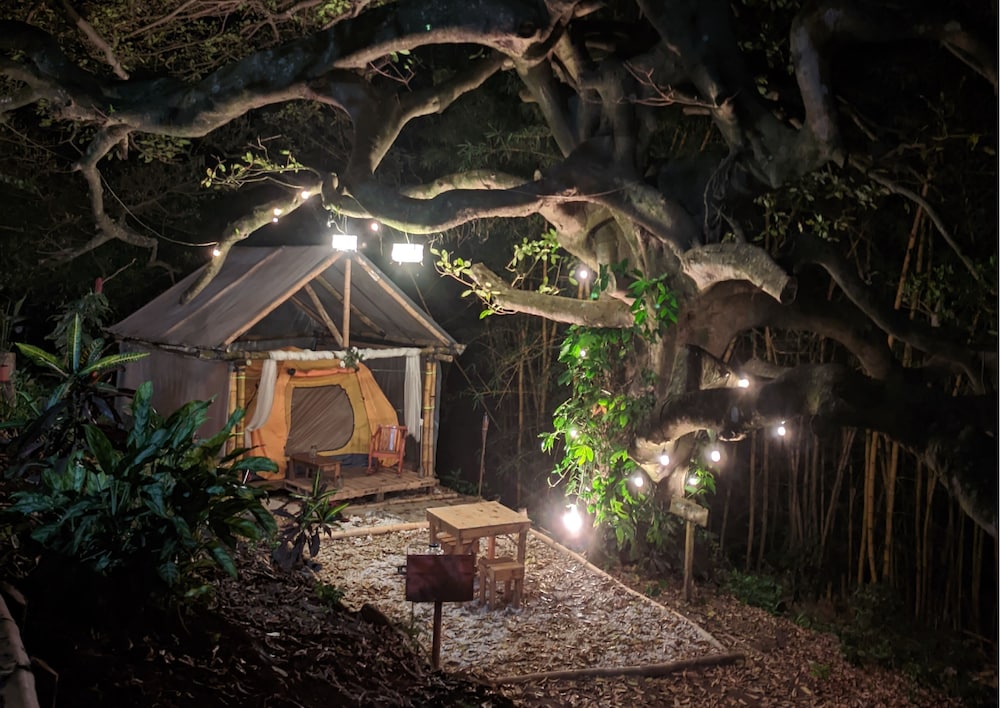 Comfort Tent photo 1