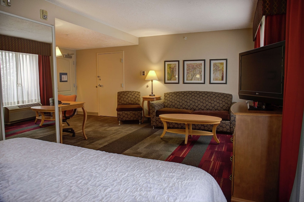 Suite, 1 King Bed, Accessible, Non Smoking photo 1