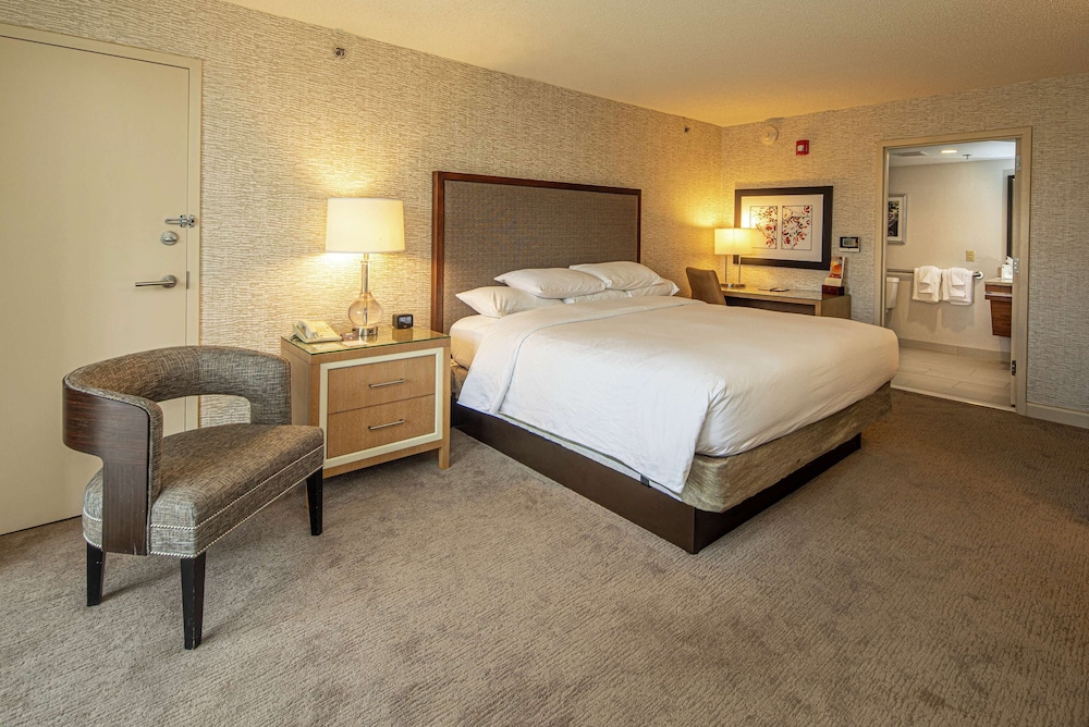 Room, 1 King Bed, Accessible (Roll-in Shower) photo 1