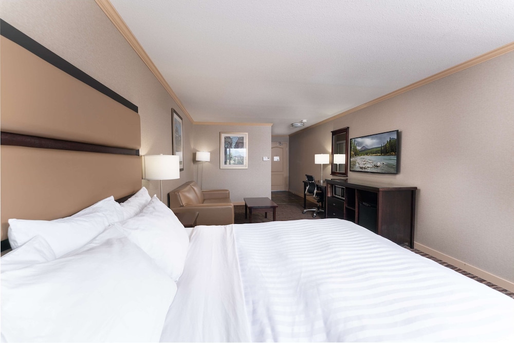 Standard Room, 1 King Bed, Accessible, Refrigerator & Microwave (with Sofabed)
