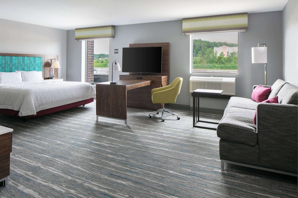 Studio Suite, 1 King Bed with Sofa bed, Accessible, Non Smoking (Mobility & Hearing) - Photo 2