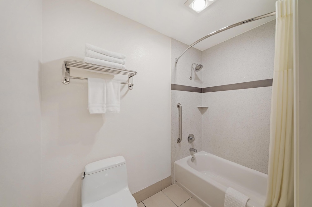 Standard Room, 1 King Bed, Non Smoking, Refrigerator & Microwave (Pet Friendly) - Photo 4