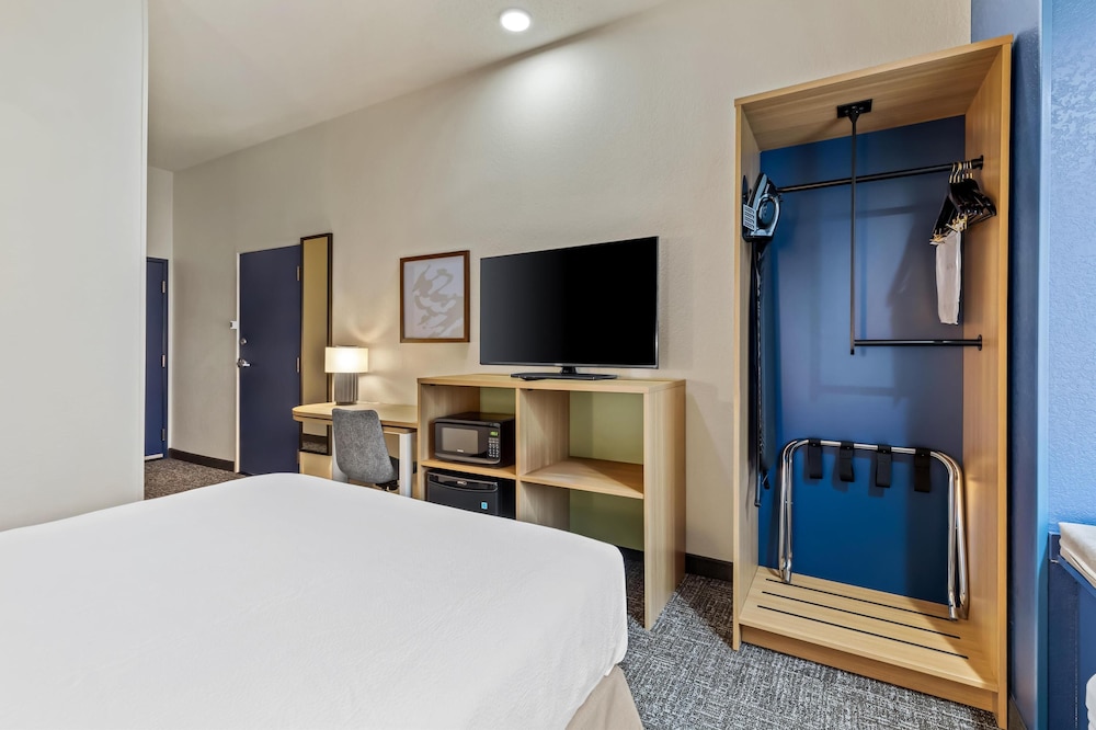 Room, 1 King Bed with Sofa bed photo 1