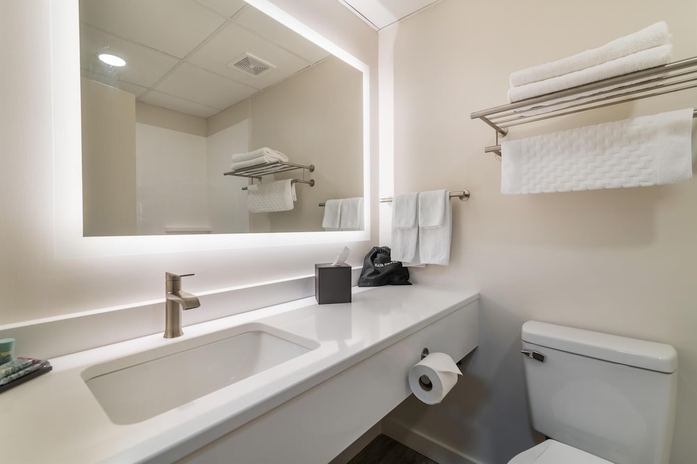 Standard Room, 1 King Bed, Non Smoking (Walk-in Shower) photo 2