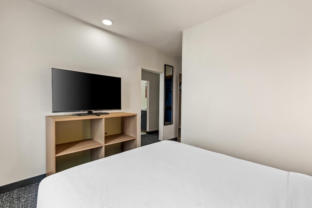 Room, 1 King Bed with Sofa bed photo 3