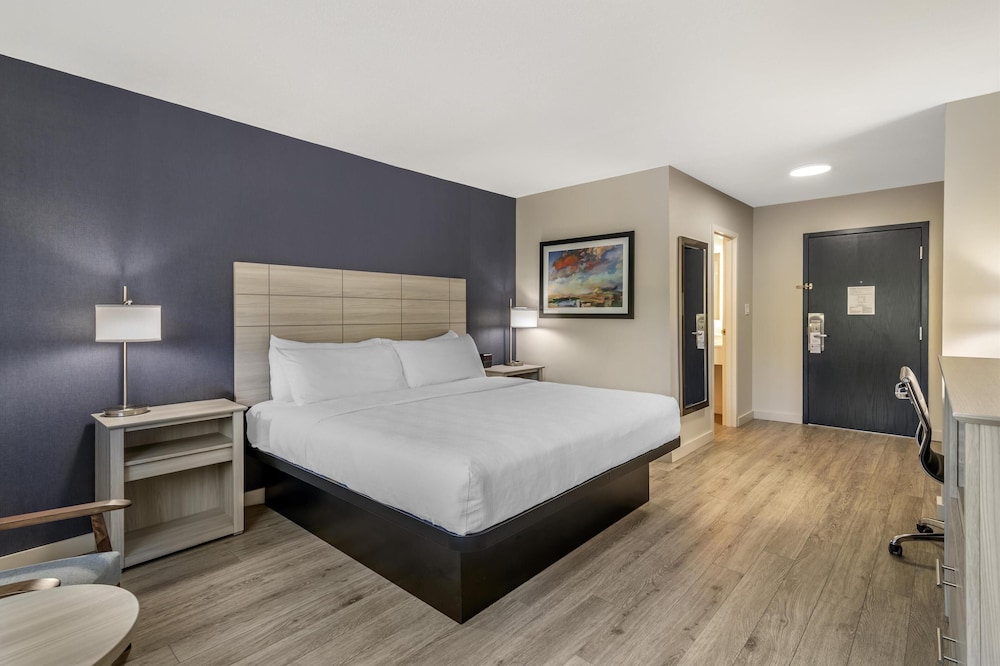 Standard Room, 1 King Bed, Non Smoking (Walk-in Shower;Pet Friendly) photo 1