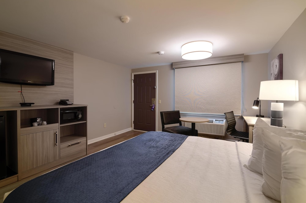 Executive Room, 1 King Bed, Non Smoking photo 3