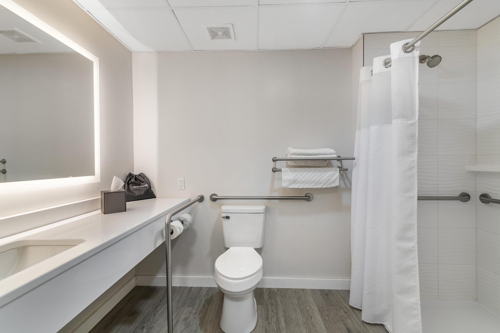 Suite, 1 King Bed, Accessible, Kitchenette (with Single Sofabed) photo 3