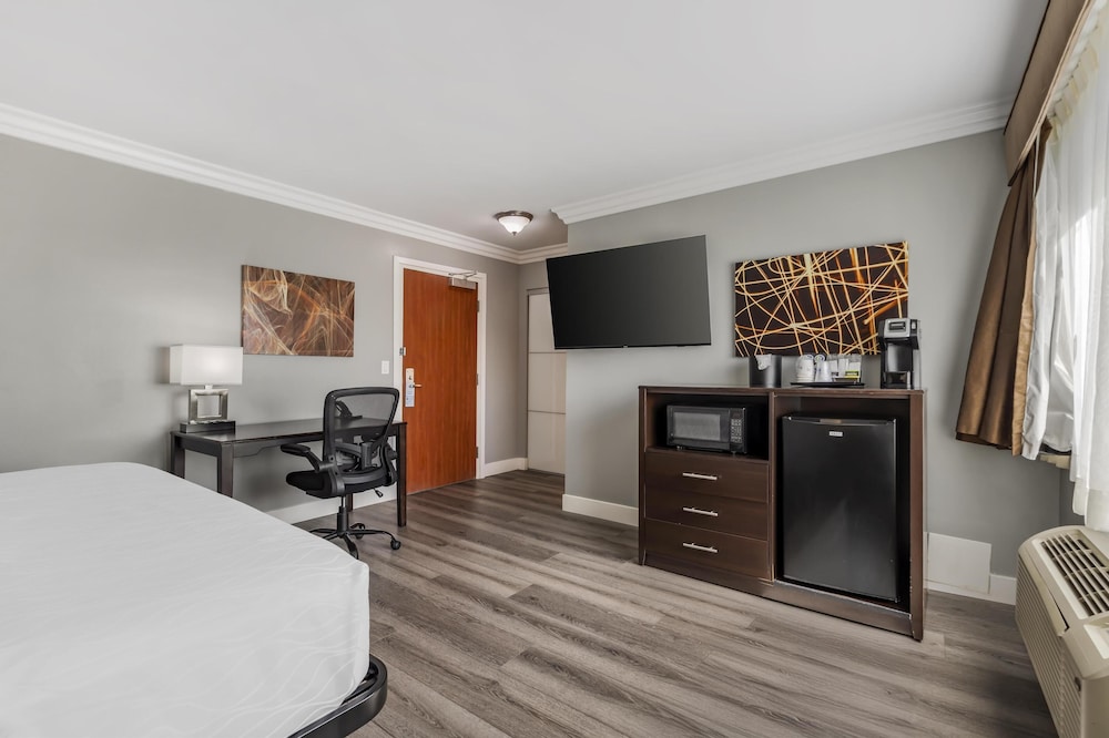 Standard Room, 1 King Bed, Non Smoking, Refrigerator & Microwave