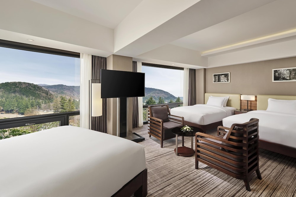Deluxe Suite, Multiple Beds (Deluxe)