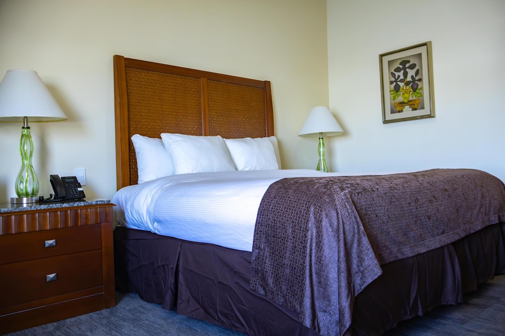 Standard Room, 1 King Bed, Accessible, Non Smoking - Photo 1