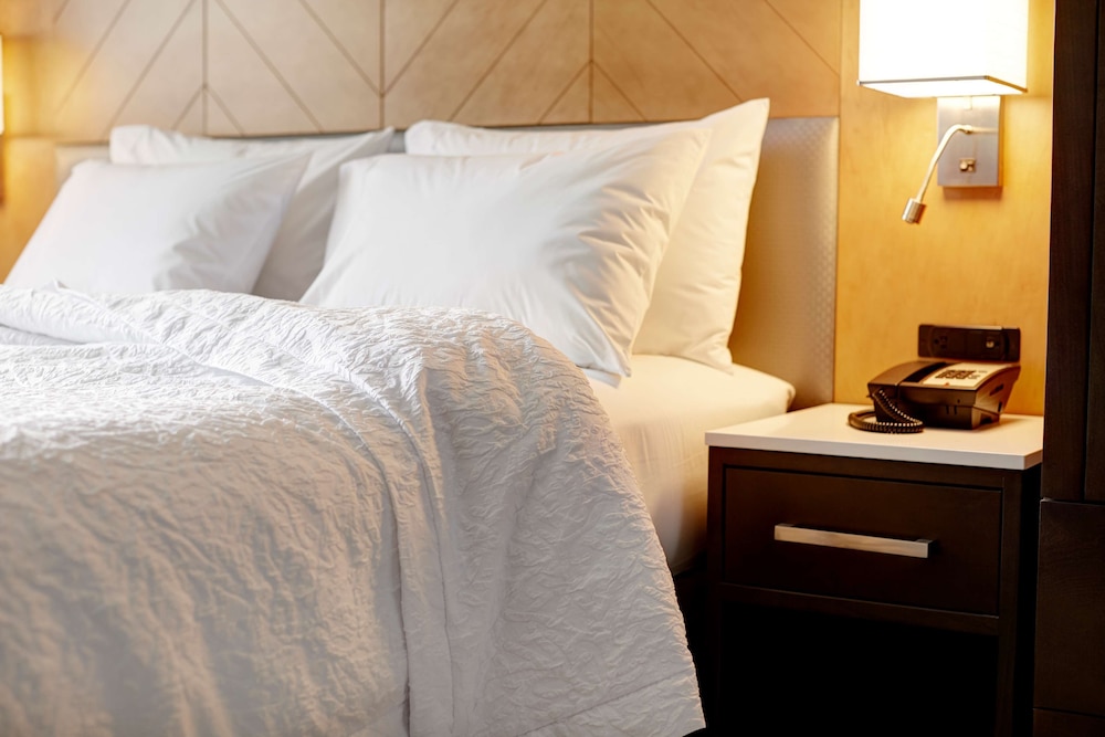 Suite, 1 King Bed, Accessible (Roll-In Shower) photo 2