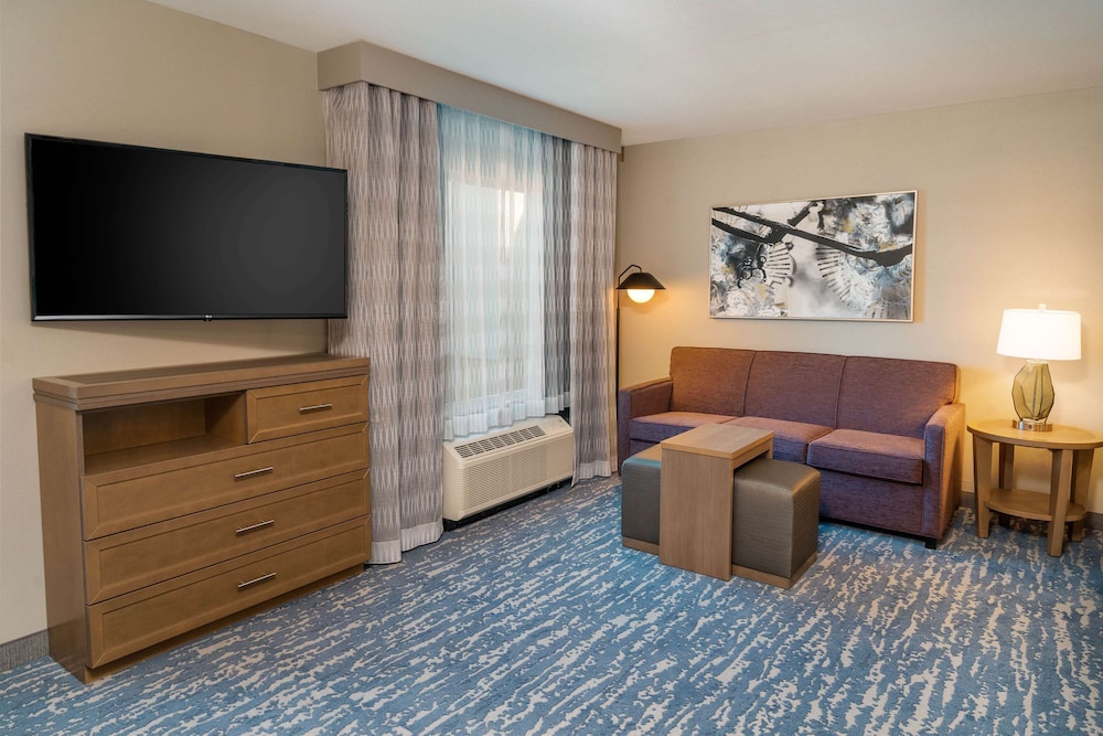 Studio, 1 King Bed, Accessible (Roll-In Shower) - Photo 6
