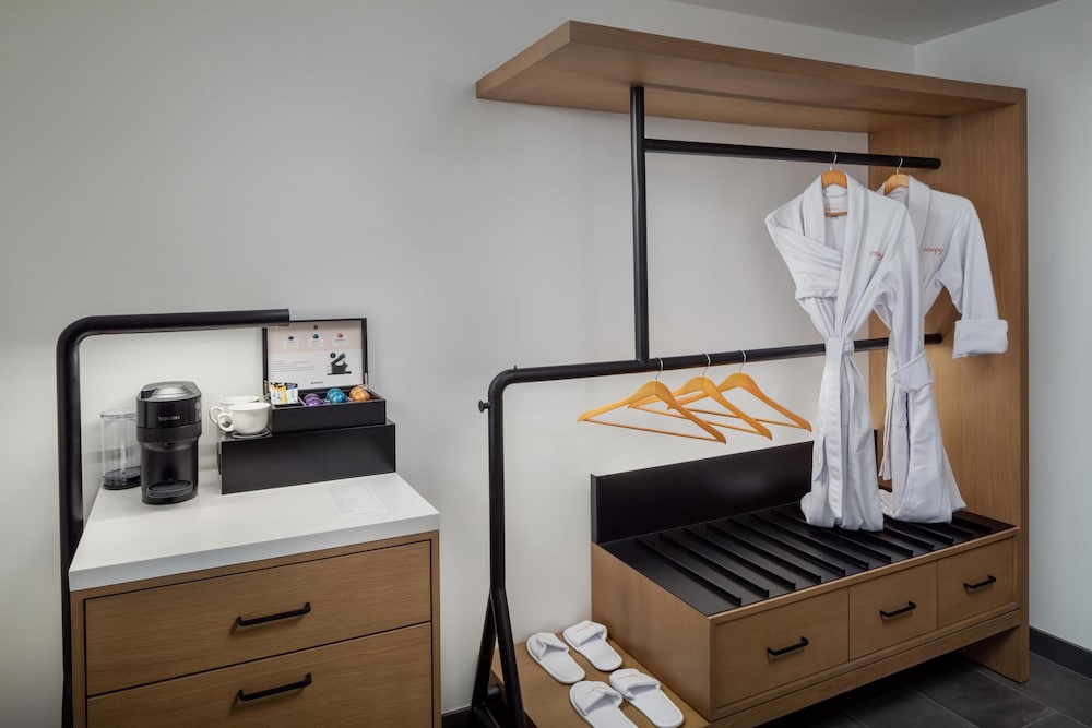 Room, 1 King Bed (Mobility & Hearing, Roll-In Shower) - Photo 1