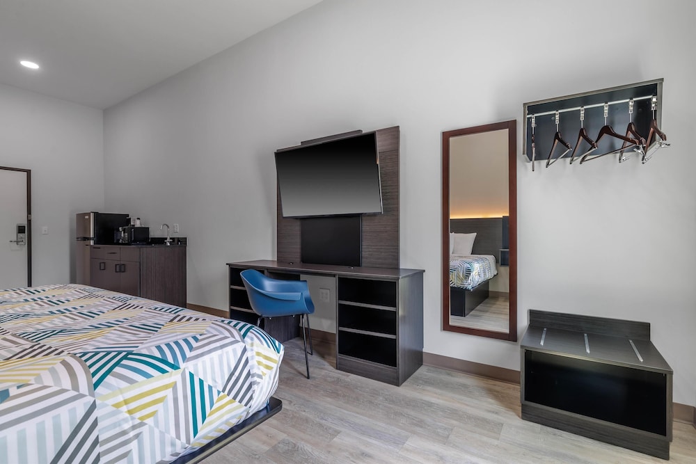 Deluxe Room, 1 King Bed, Non Smoking, Refrigerator & Microwave