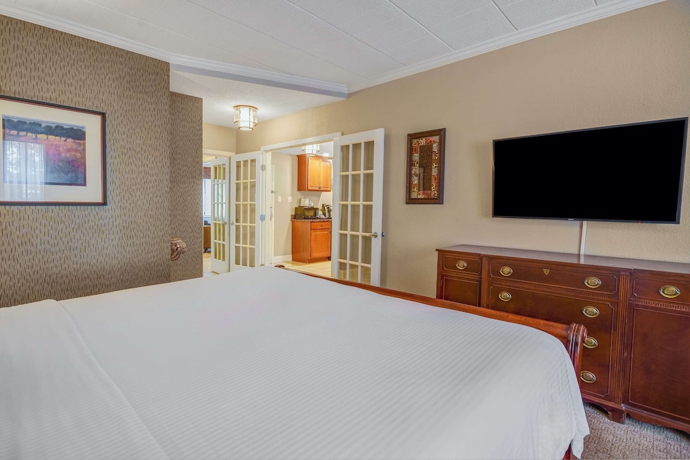 Suite, 1 King Bed with Sofa bed photo 2