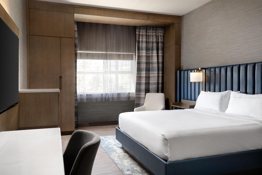 Room, 1 King bed, Accessible w/ R/I shower