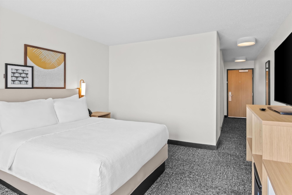 Room, 1 Queen Bed photo 1
