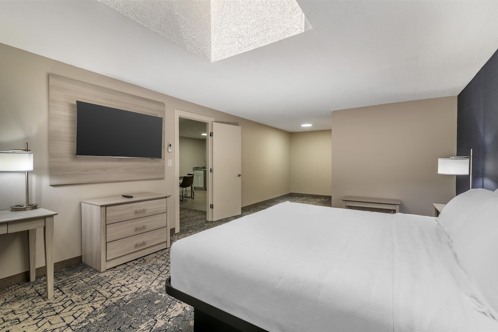 Suite, 1 King Bed, Non Smoking, Kitchenette (Dining Table;with Single Sofabed) photo 1