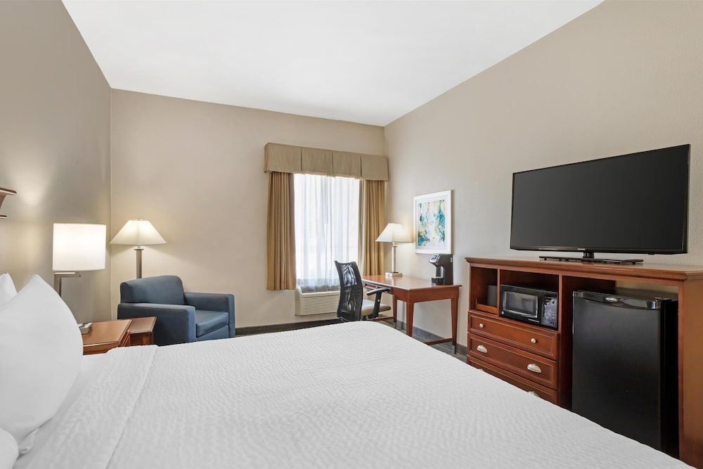 Standard Room, 1 King Bed, Accessible, Non Smoking photo 2